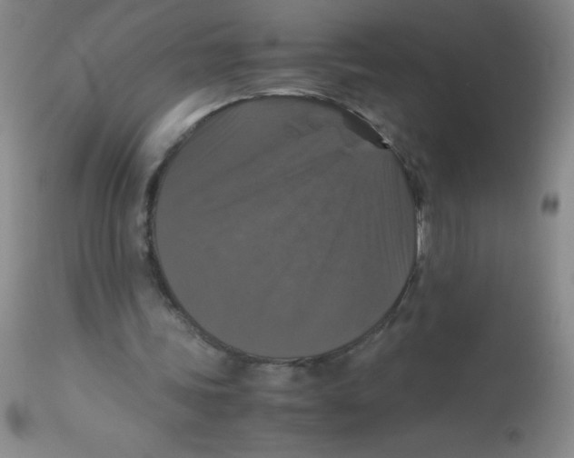 X0000113950339200910232011