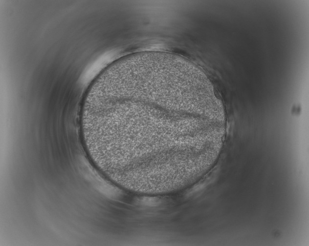 X0000113950341200910232011