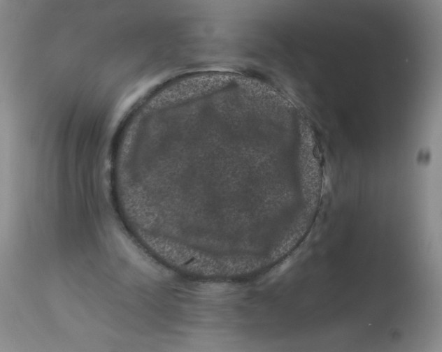 X0000113950342200910232011