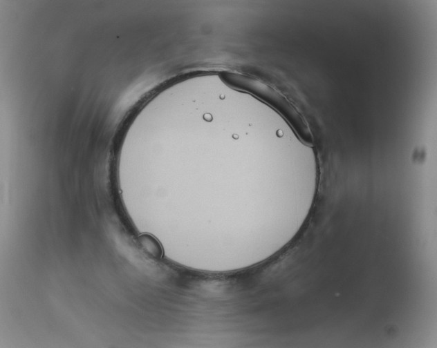 X0000113950344200910232011