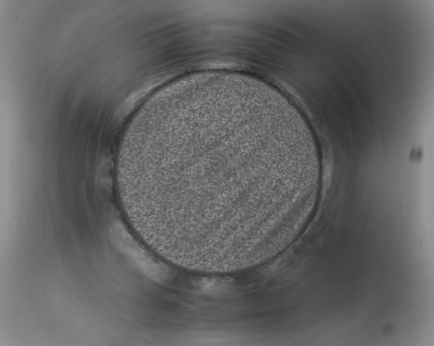 X0000113950345200910232011