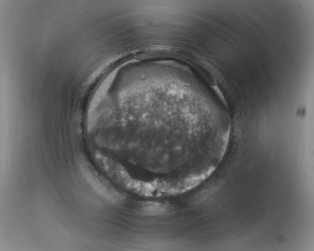 X0000113950347200910232011