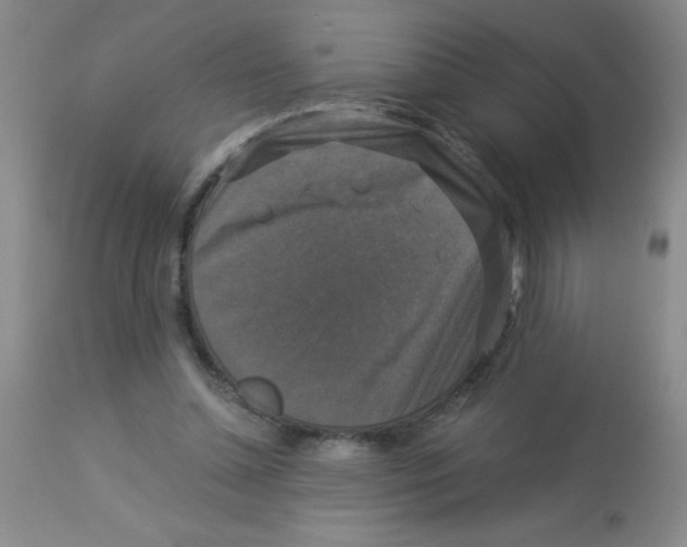 X0000113950348200910232011