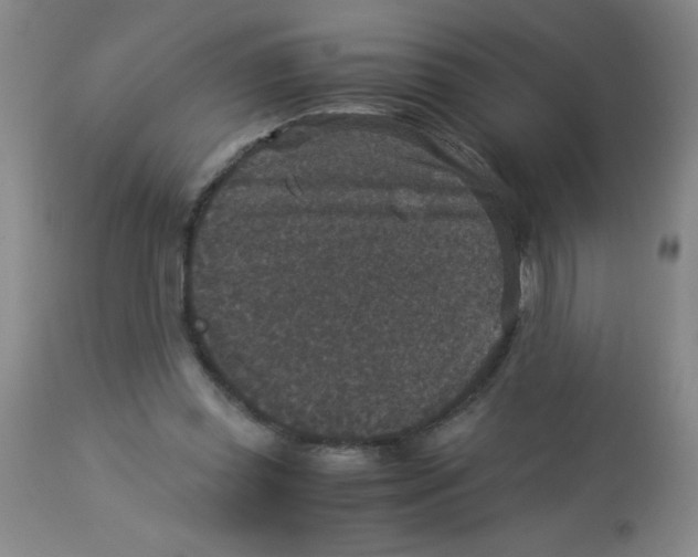 X0000113950349200910232011