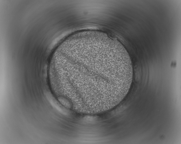 X0000113950350200910232011