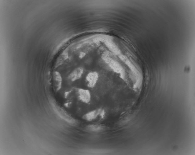 X0000113950351200910232011