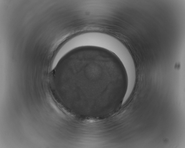 X0000113950352200910232011