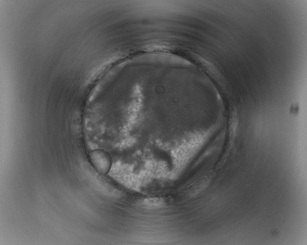 X0000113950353200910232011