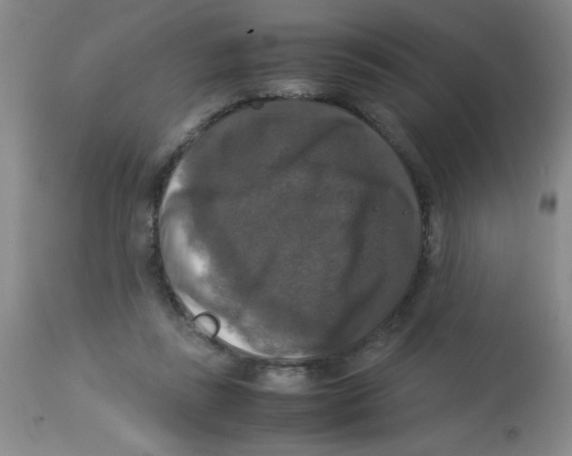 X0000113950355200910232011