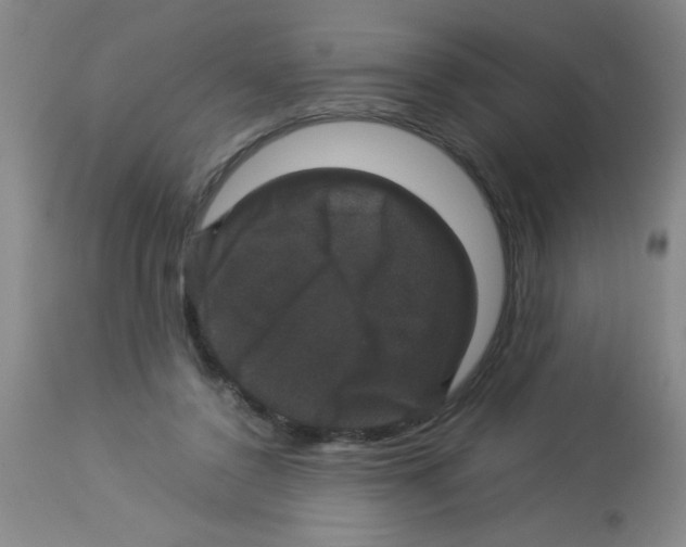 X0000113950356200910232011