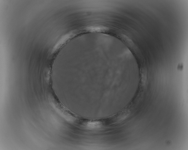X0000113950357200910232011