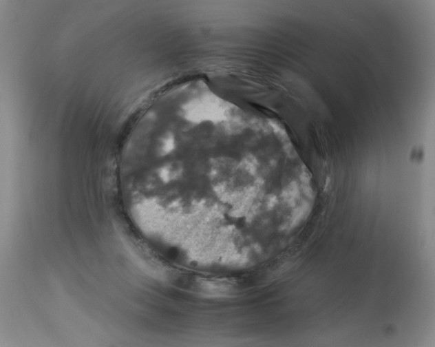 X0000113950359200910232011