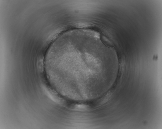 X0000113950360200910232011