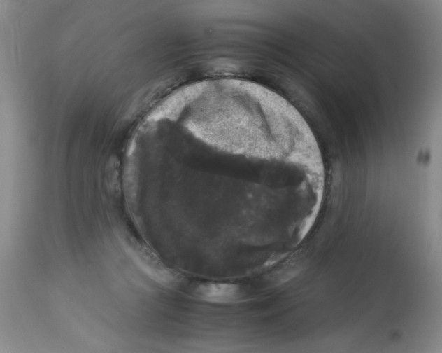 X0000113950361200910232011