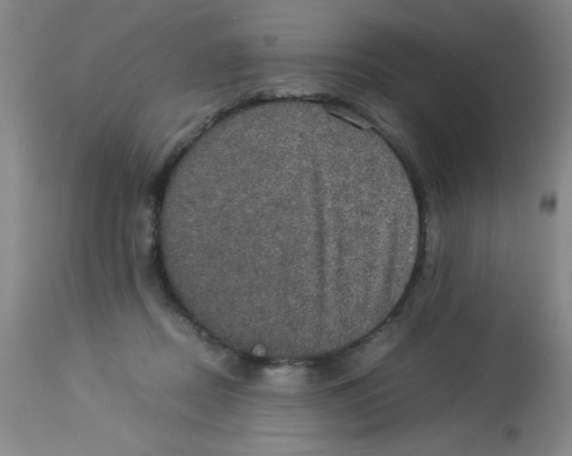 X0000113950362200910232011