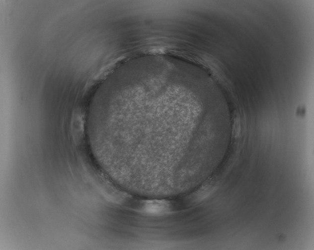 X0000113950363200910232012
