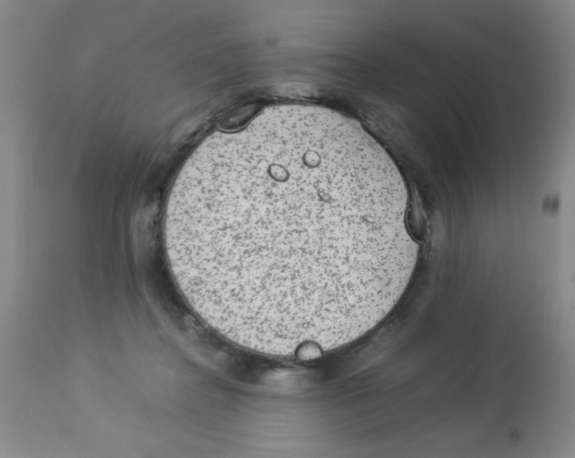 X0000113950364200910232012