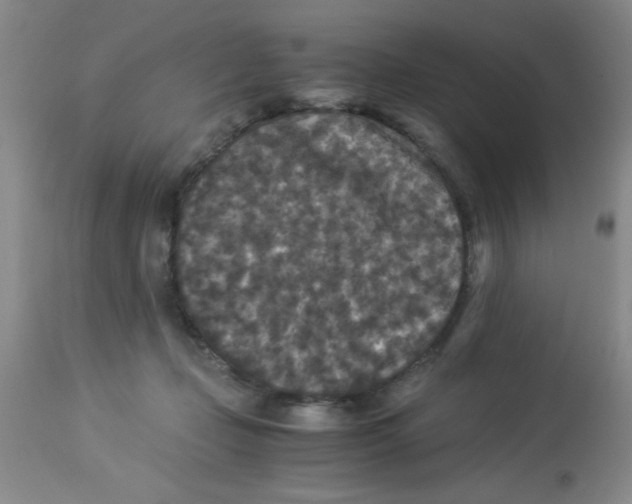 X0000113950365200910232012