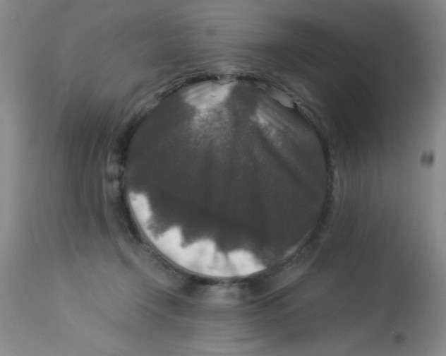 X0000113950366200910232012