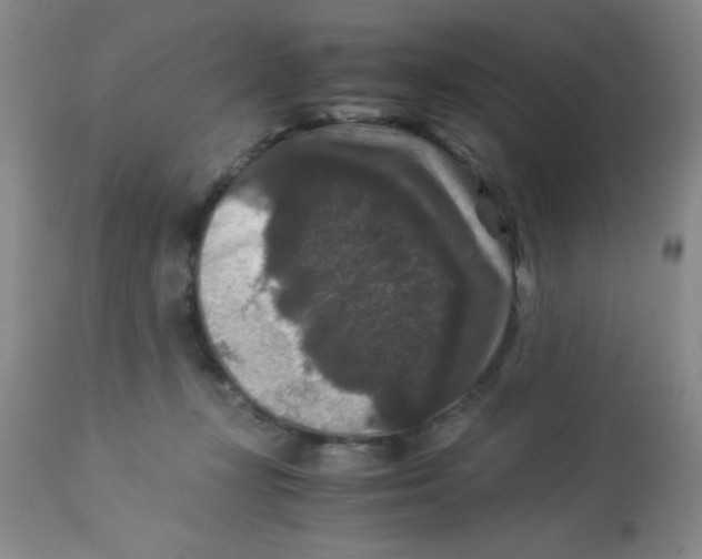 X0000113950367200910232012