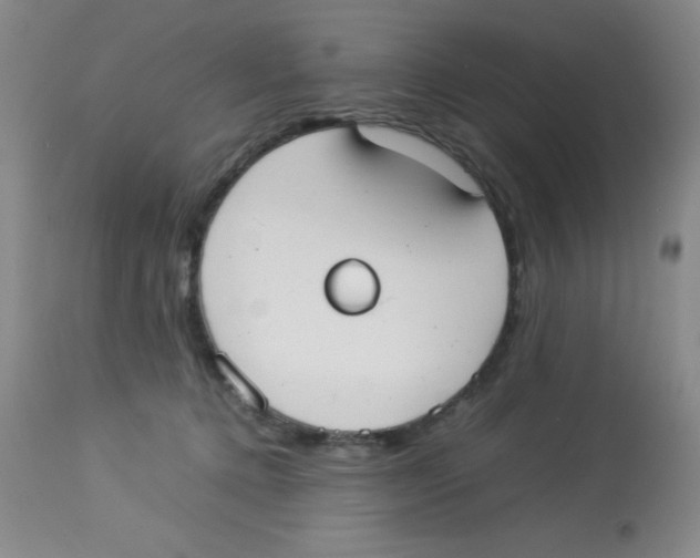 X0000113950368200910232012