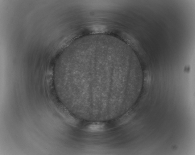 X0000113950369200910232012