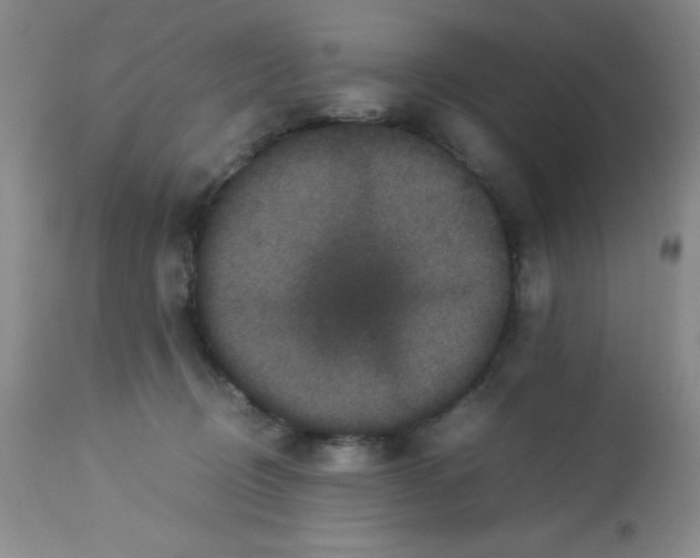 X0000113950370200910232012
