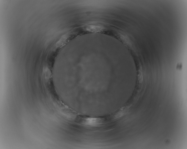 X0000113950371200910232012