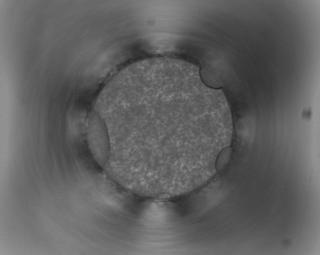 X0000113950372200910232012