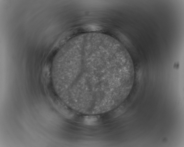 X0000113950373200910232012