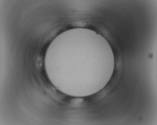 X0000113950374200910232012