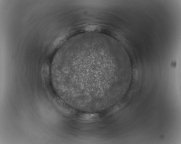 X0000113950375200910232012
