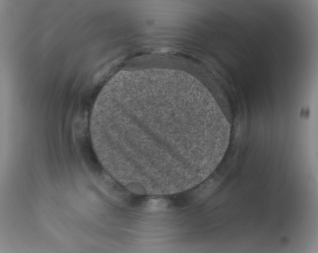 X0000113950376200910232012
