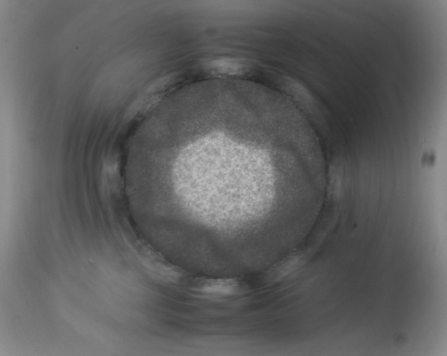 X0000113950377200910232012