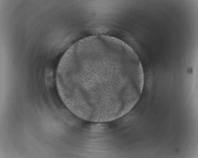 X0000113950378200910232012