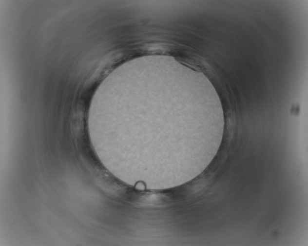 X0000113950379200910232012