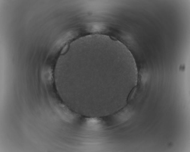 X0000113950380200910232012