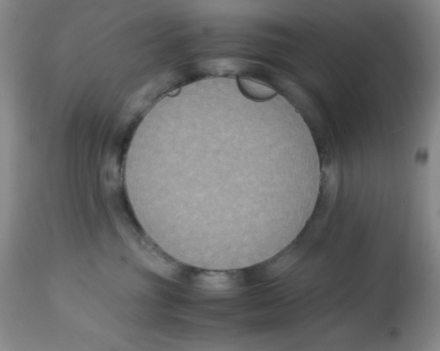 X0000113950381200910232012