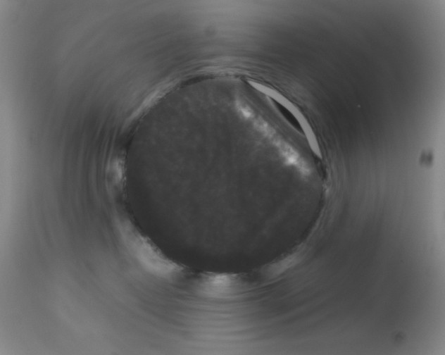 X0000113950382200910232012