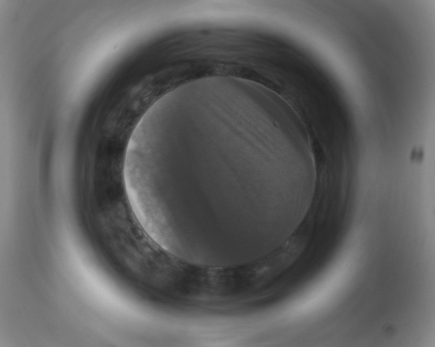 X0000113950383200910232012