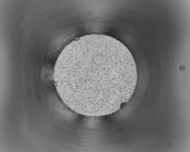X0000113950384200910232012