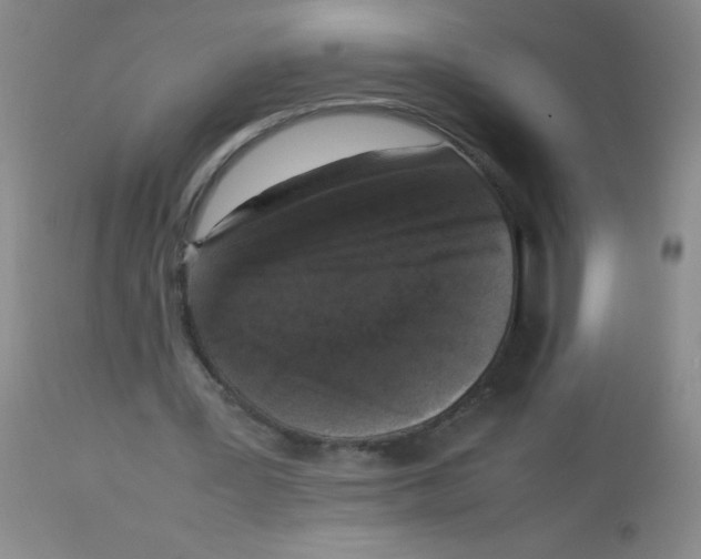 X0000113950387200910232011
