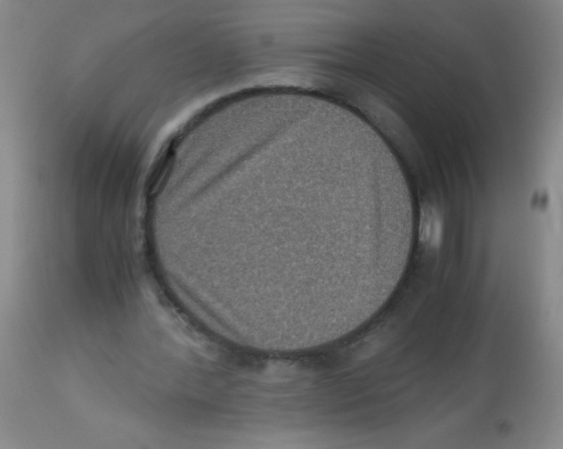 X0000113950388200910232011