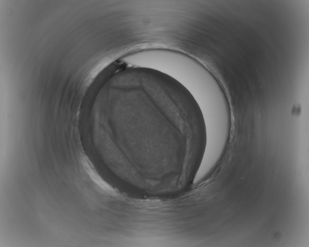 X0000113950389200910232011