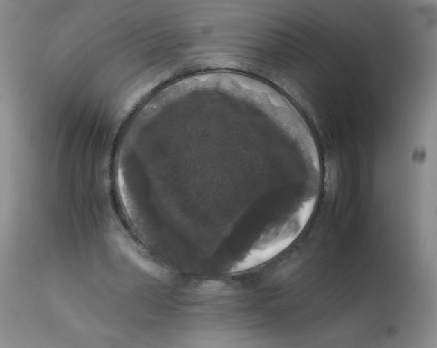 X0000113950390200910232011