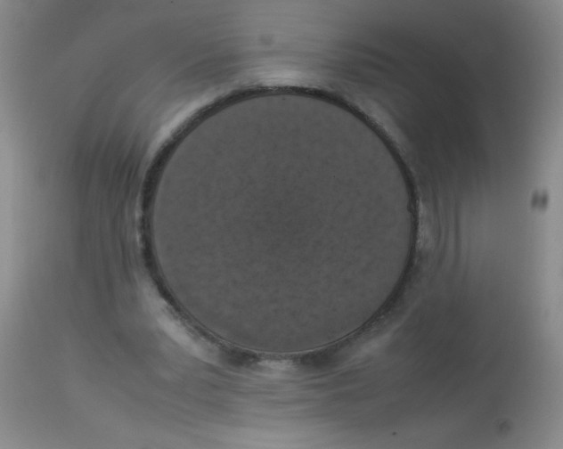 X0000113950391200910232011