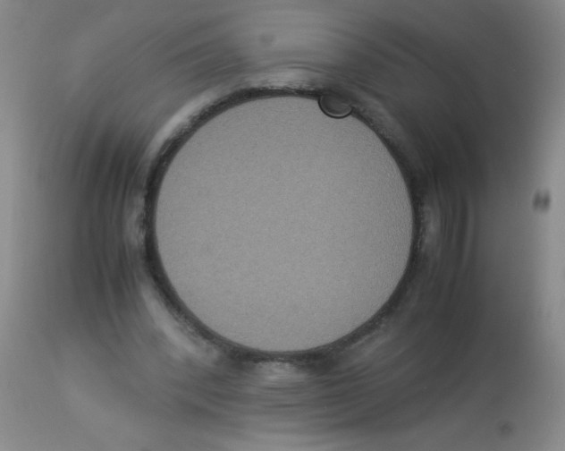 X0000113950392200910232011
