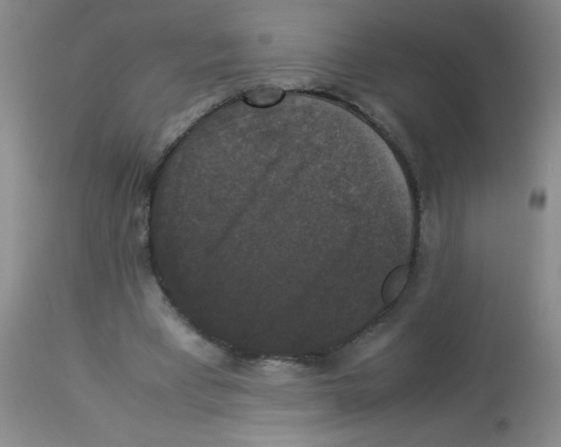 X0000113950393200910232011