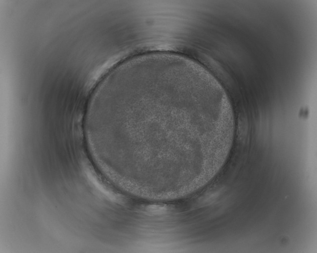 X0000113950394200910232011