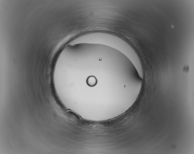X0000113950395200910232011